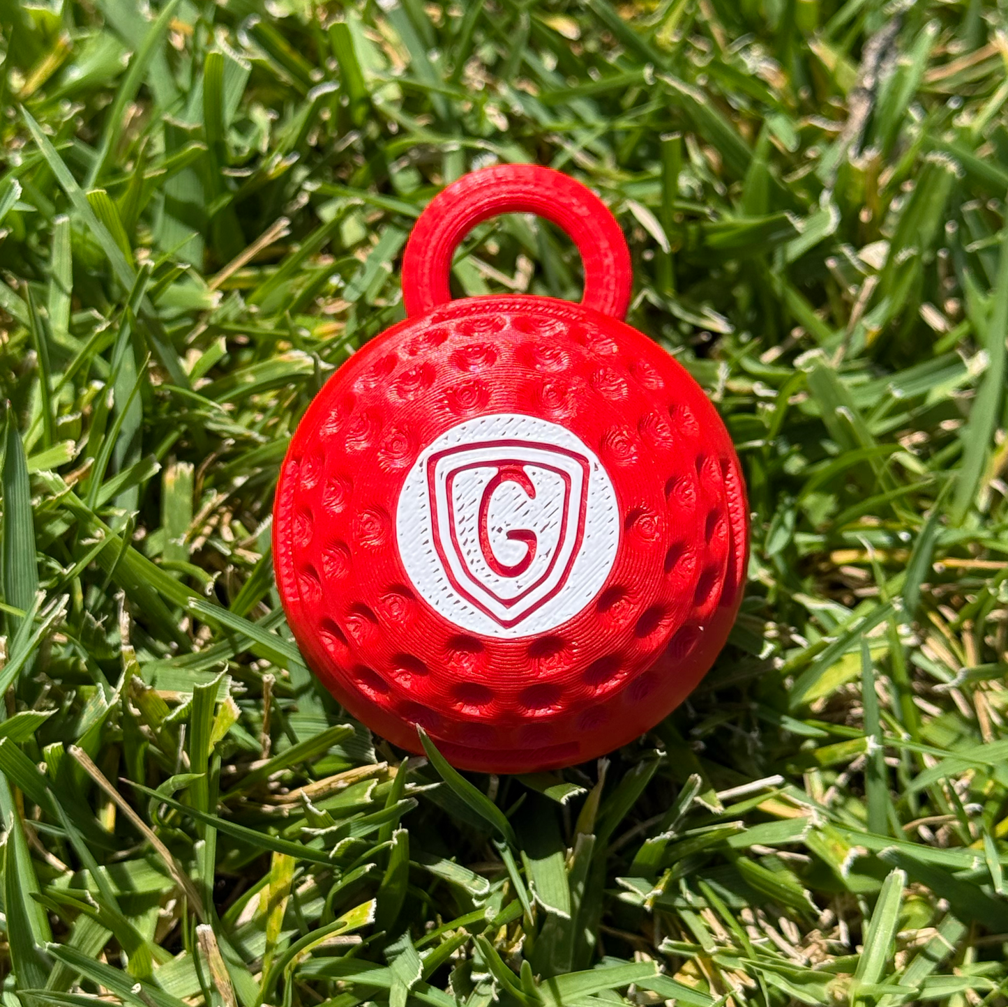 Guard My Bag Red